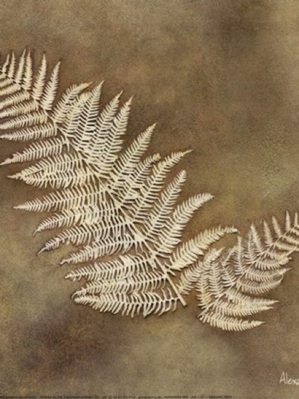 Botanical Fern Wall Art Print in Cream and Brown